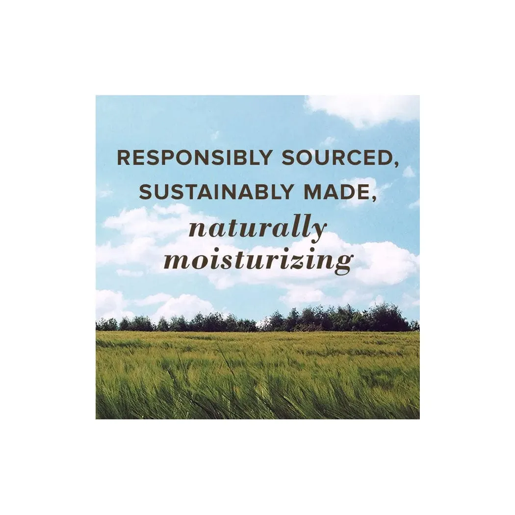 Burt's Bees Best of Burt's Lip Balm 4-Pack