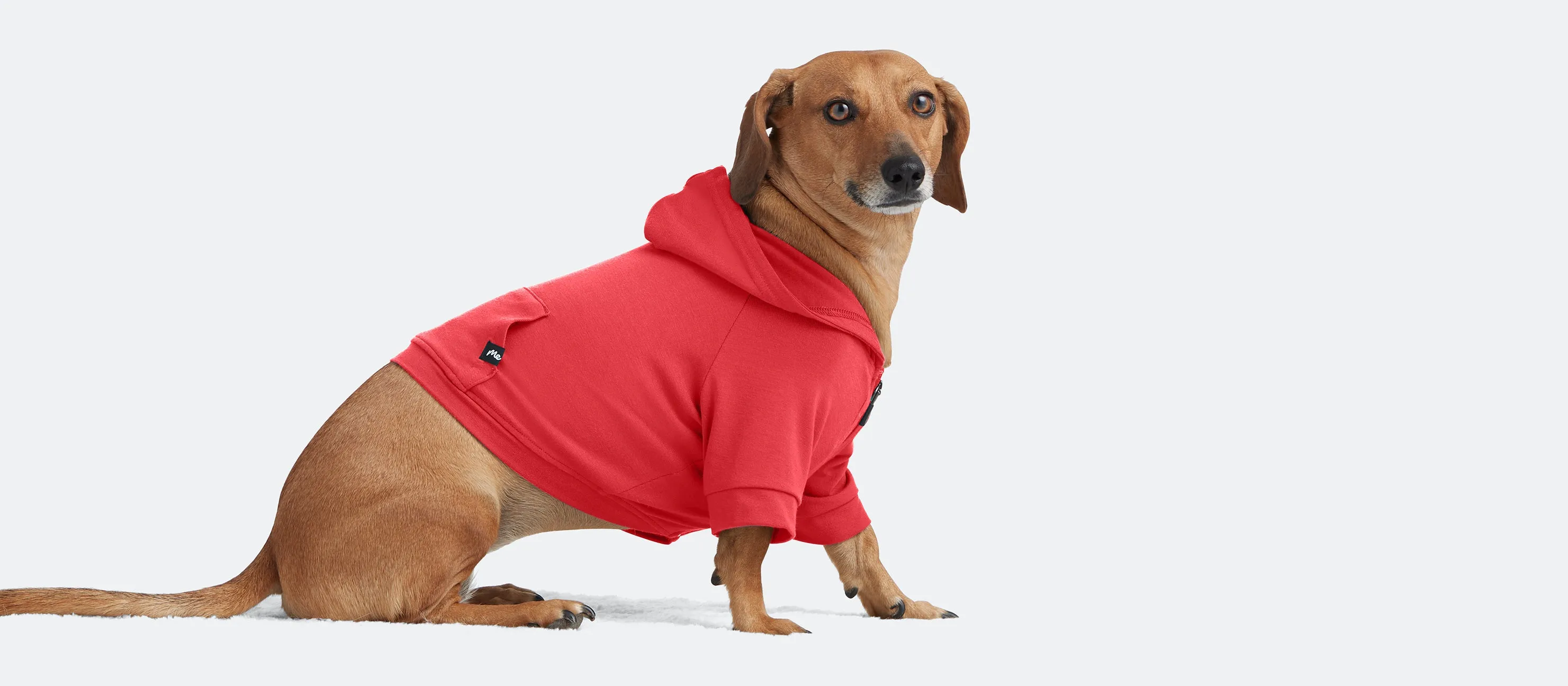 Dog Hoodie | First Blush
