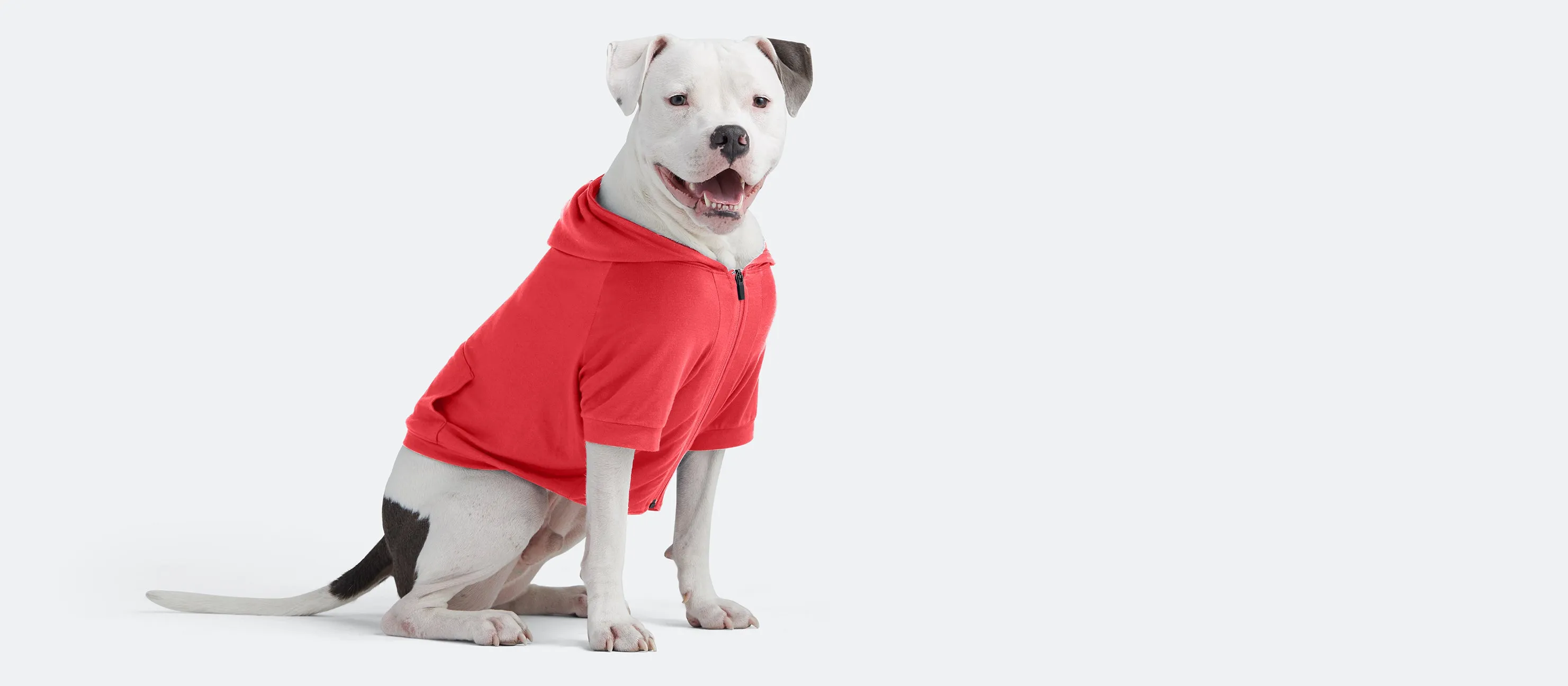 Dog Hoodie | First Blush