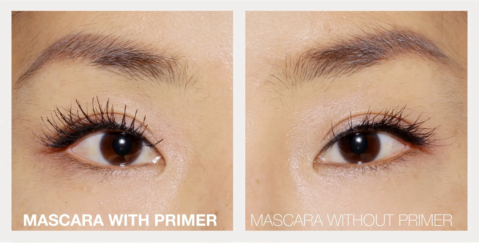 Lashfood Conditioning Collagen Lash Primer