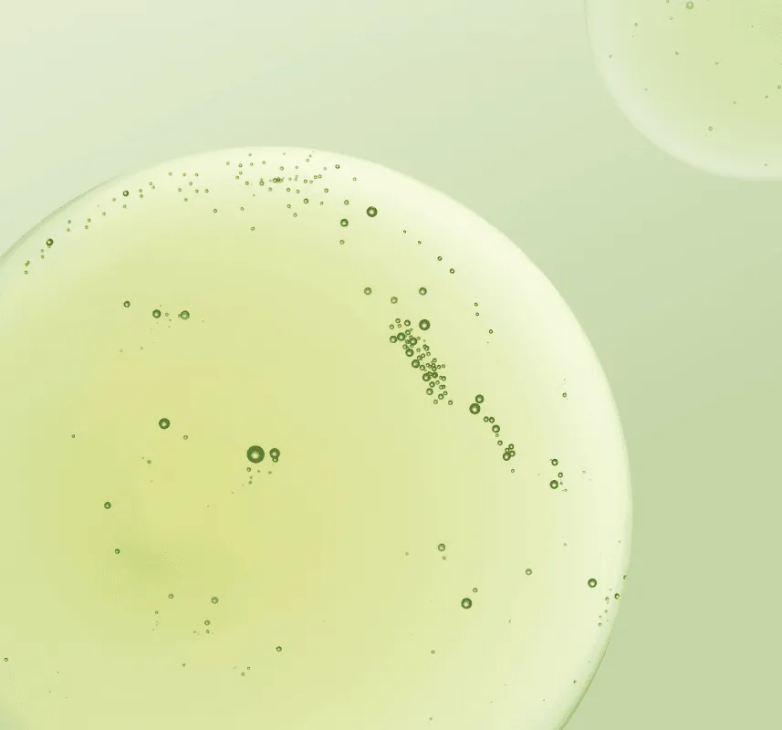 [make p:rem] End Pore Vegetinol Tightening Serum 50ml